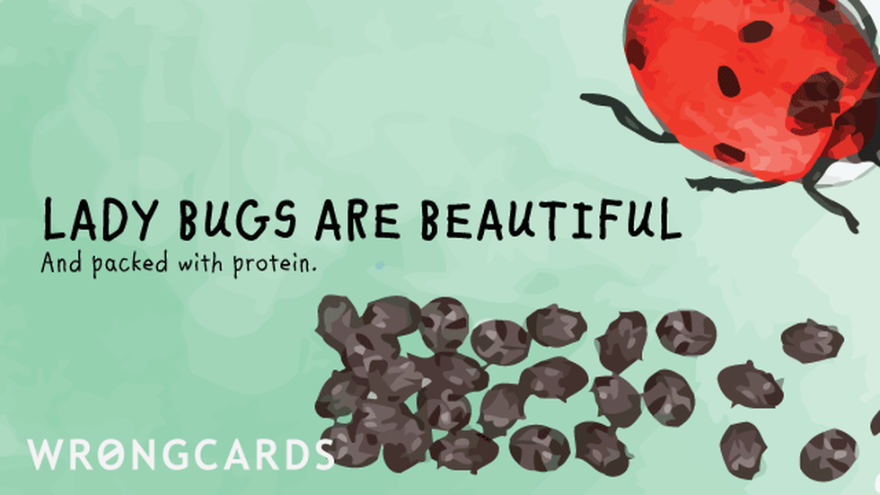 Thinking of You Ecard with text: ladybugs are beautiful, and packed with protein 