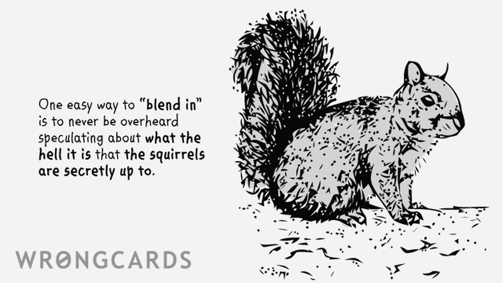 Thinking of You Ecard with text: One easy way to 'blend in' is to never be overheard speculating about what the hell it is that the squirrels are secretly up to. 