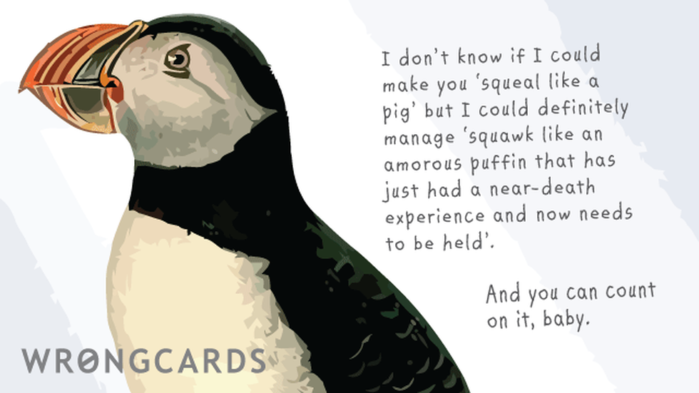 Flirting Ecard with text: I don't know if I could make you squeal like a pig but I could definitely manage 'squawk like an amorous puffin that has just had a near-death experience and needs to be held. And you can count on it, baby. 