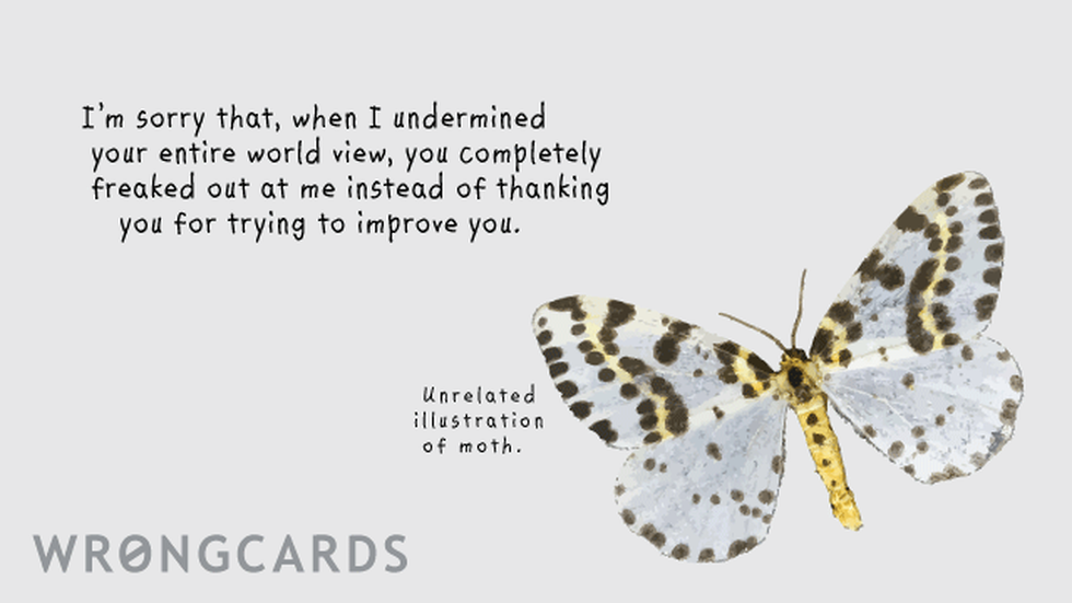 Apology Ecard with text: i'm sorry that when i undermined your entire world view, you completely freaked out instead of thanking me for trying to improve you 