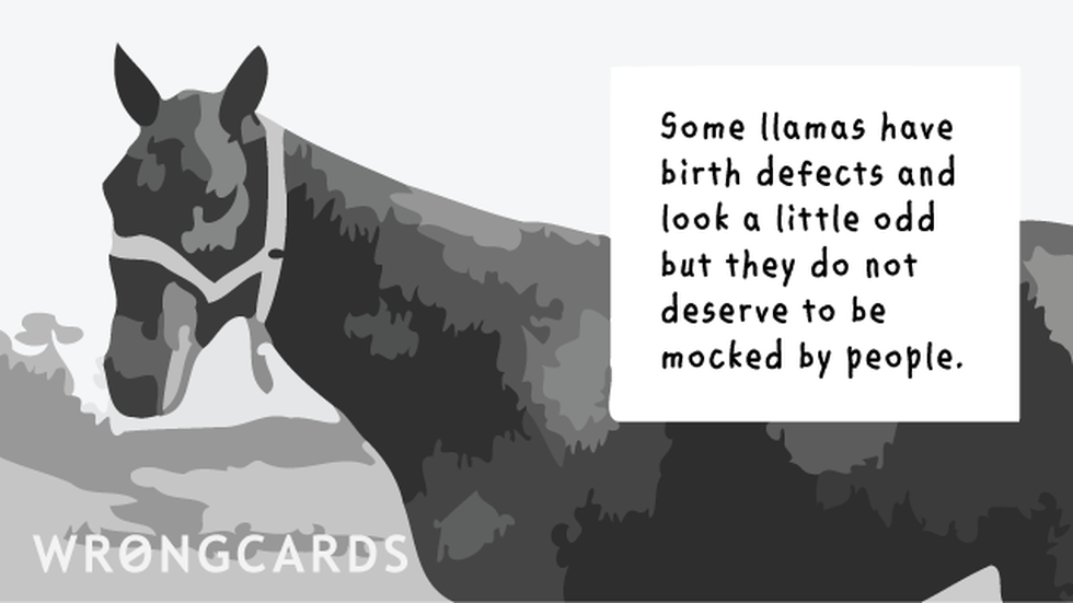 Reminders Ecard with text: Some llamas are born with birth defects and look a little odd but they do not deserve to be mocked by people. 