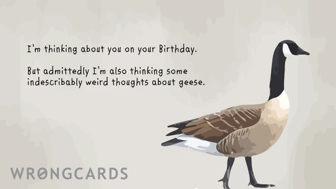 I'm thinking about you on your birthday. but admittedly, i'm also thinking indescribably weird thoughts about geese. 