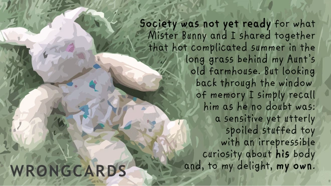 'Society was not yet ready for what Mister Bunny and I shared together that hot complicated summer in the long grass behind my Aunt's old farm house. But looking back through the window of memory I simply recall him as he no doubt was: a sensitive yet utterly spoiled stuffed toy with an irrepressible curiosity about his body and, to my delight, my own.' 