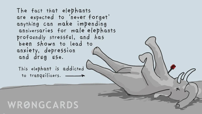 The fact that elephants are expected never to forget anything can make impending anniversaries for male elephants profoundly stressful, and been shown to lead to anxiety, depression and drug use. This elephant (pictured) is addicted to tranquilizers. 