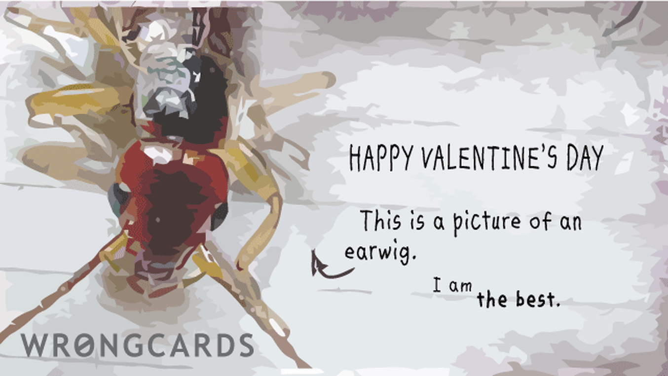 Valentines Ecard with text: Happy valentines day. This is a picture of an earwig. I am the best.
