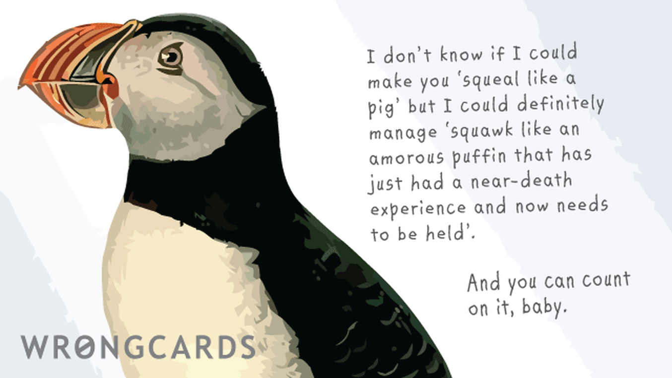 Flirting and Pick Up Lines Ecard with text: I don't know if I could make you squeal like a pig but I could definitely manage 'squawk like an amorous puffin that has just had a near-death experience and needs to be held. And you can count on it, baby.    
