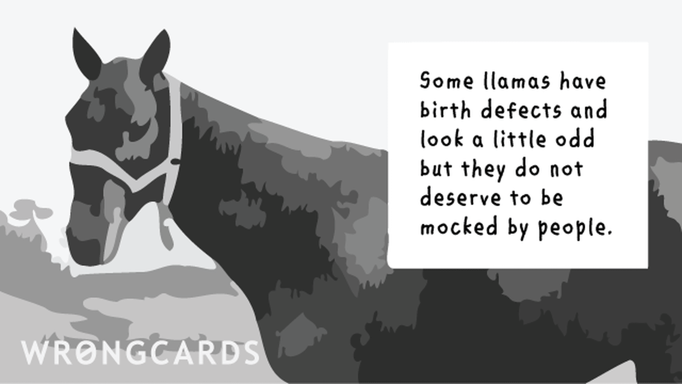 Reminders Ecard with text: Some llamas are born with birth defects and look a little odd but they do not deserve to be mocked by people.
