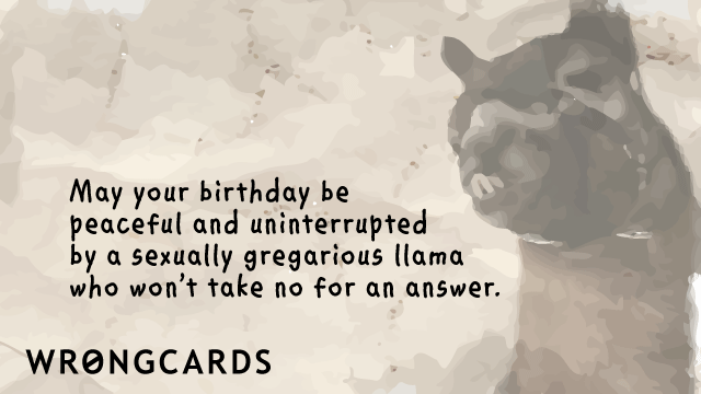 Ecard text: May your birthday be peaceful and uninterrupted by a sexually gregarious llama who won't take no for an answer.