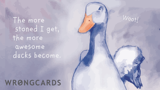 Ecard text: the more stoned i get, the more awesome ducks become